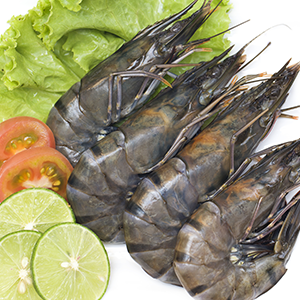 FishSeafood4