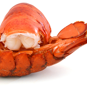 FishSeafood7