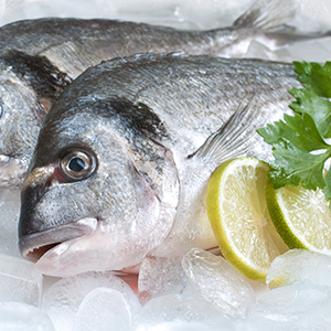 FishSeafood3