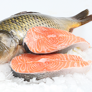 FishSeafood1